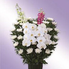 菊籠（和花）