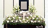 遺影（電照）